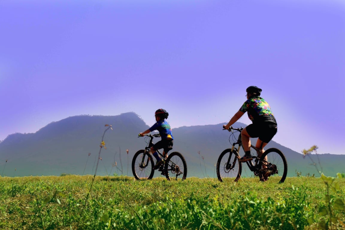 Wildevy MTB